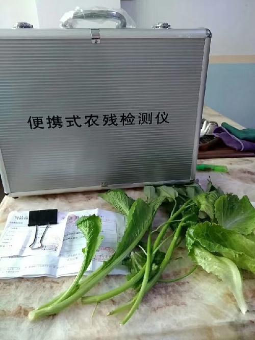 深圳福田工廠蔬菜批發配送生鮮批發服務——高效、新鮮、一站式供應